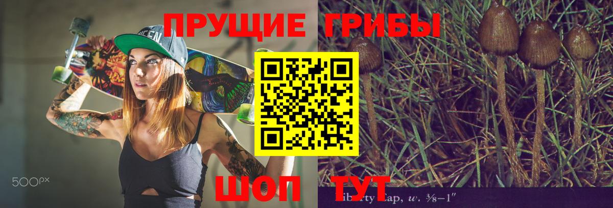 Галлюциногенные грибы мухоморы Петрозаводск