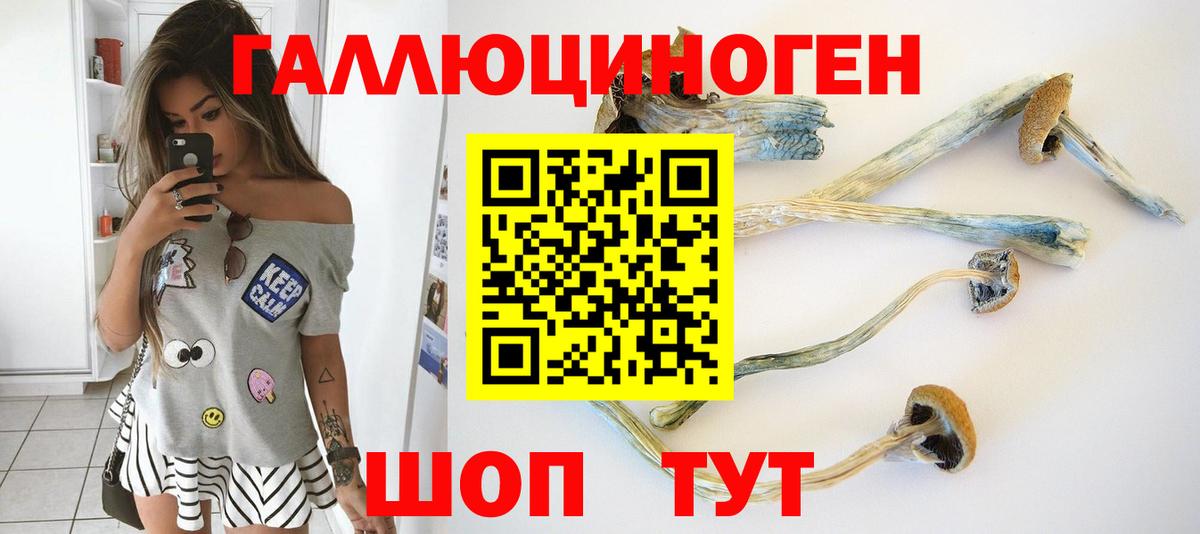 Галлюциногенные грибы Psilocybine cubensis  Вход с VPN  Петрозаводск  Псилоцибиновые грибы MAGIC MUSHROOMS 
